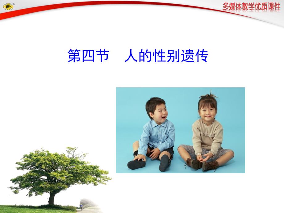 第四节人的性别遗传.ppt_第1页