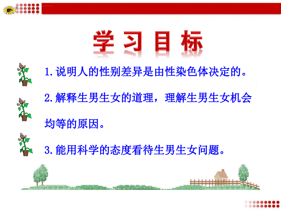 第四节人的性别遗传.ppt_第3页