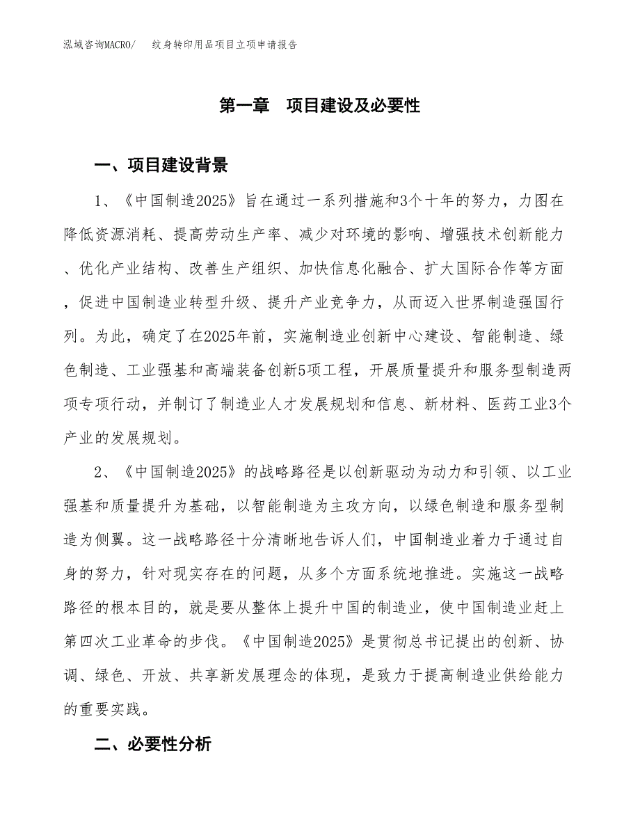 纹身转印用品项目立项申请报告（总投资8000万元）.docx_第2页