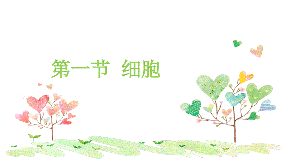 解剖学-细胞.ppt_第3页