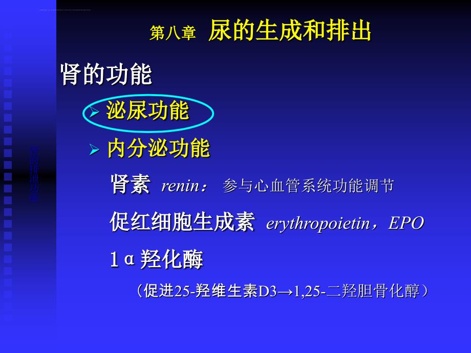 生理学课件-泌尿(人卫第七版).ppt_第3页