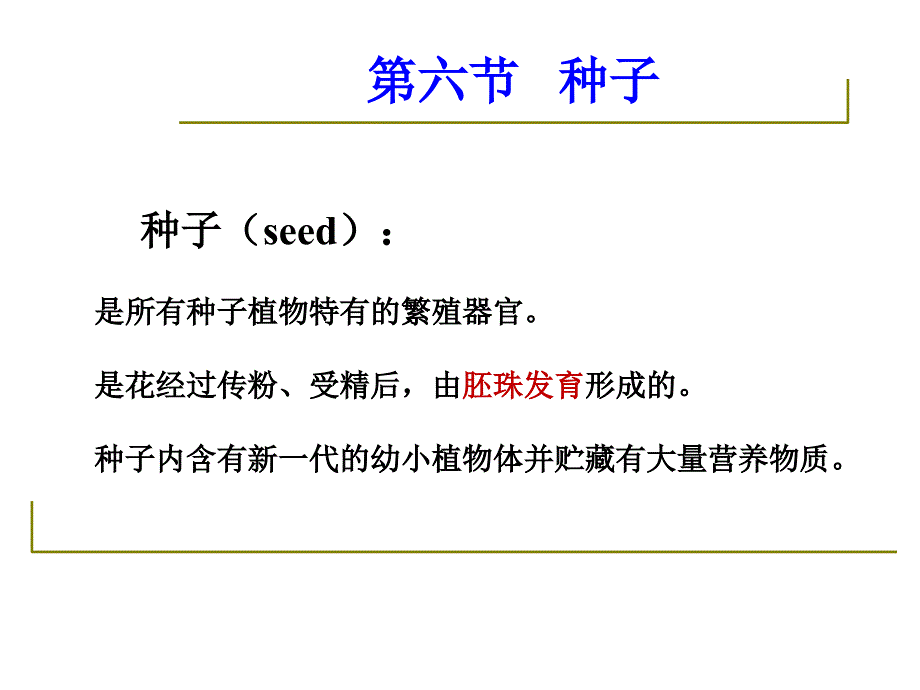 药用植物学与生药学-09种子.ppt_第3页