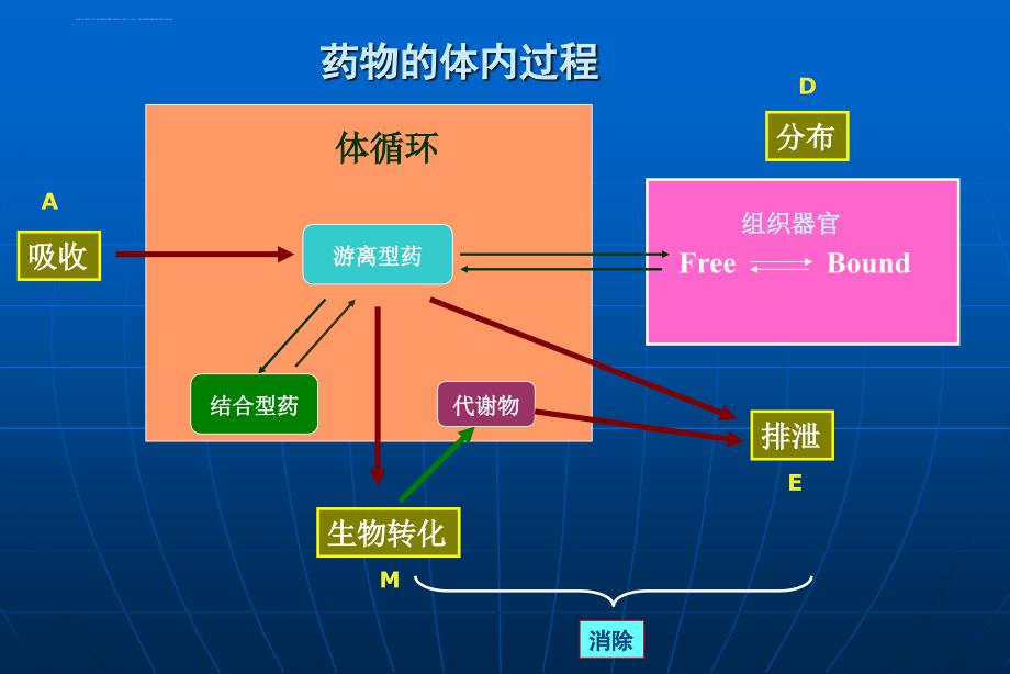 药代动力学课件.ppt_第4页