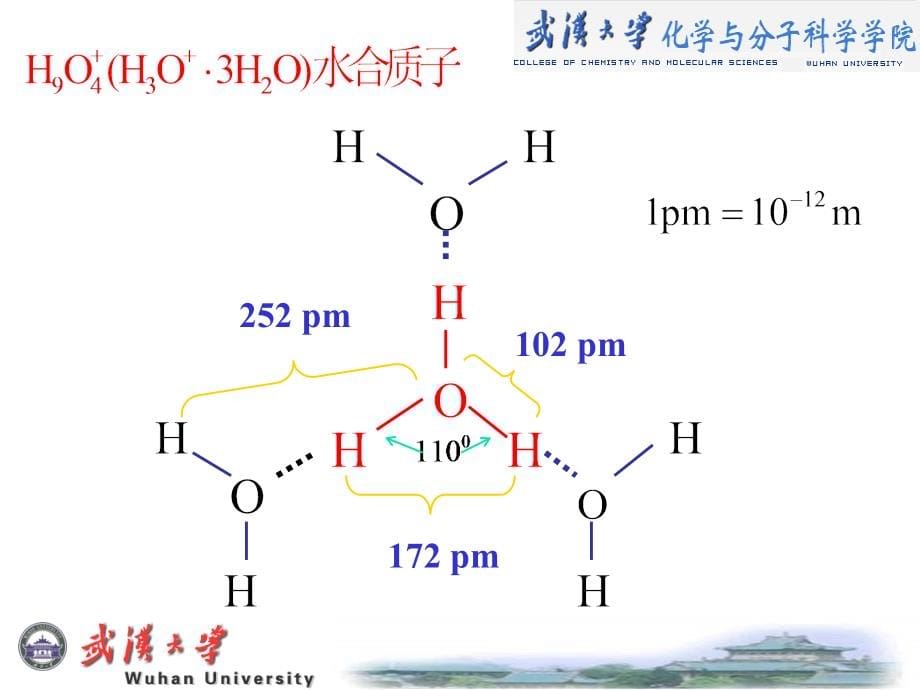 第5章-酸碱平衡及酸碱滴定法.ppt_第5页