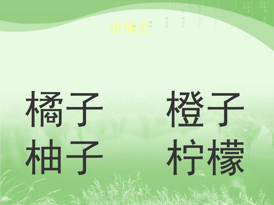 《水果分类》PPT_第4页