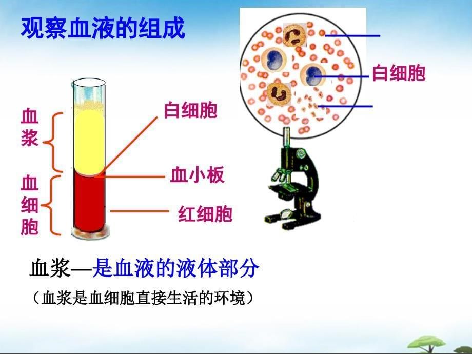 高中生物人教版必修三第一章第一节(细胞生活的环境).ppt_第5页