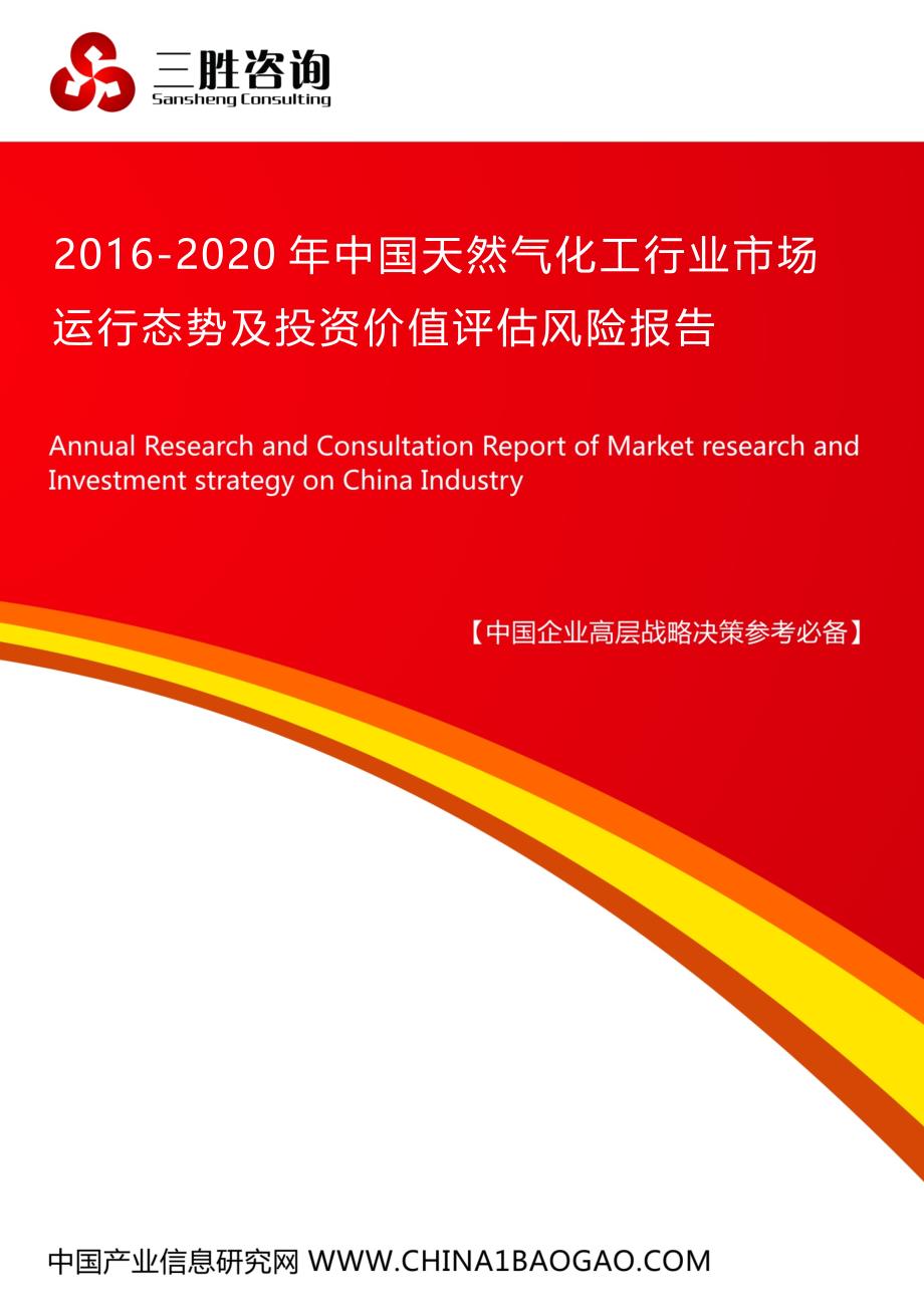 中国天然气化工行业市场运行态势及投资价值评估风险报告_第1页