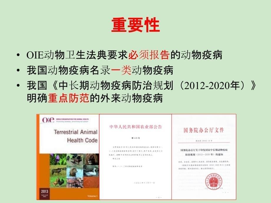 非洲猪瘟实验室诊断.ppt_第5页