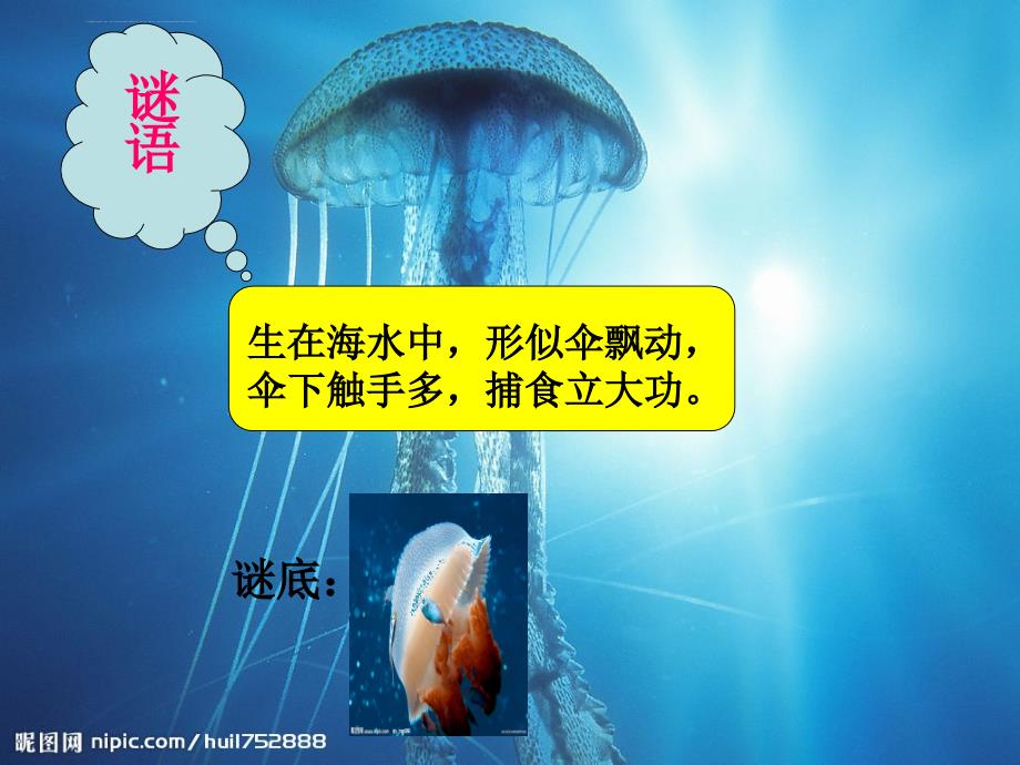 水油分离的水母儿童画.ppt_第1页