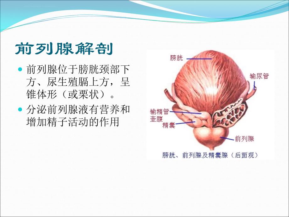 泌尿外科各种术后护理.ppt_第4页