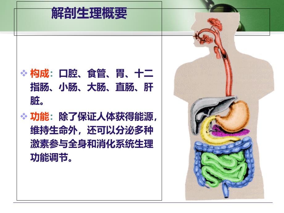 消化系统疾病病人的护理-ppt课件.ppt_第2页