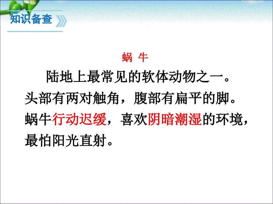 部编本14.《小蜗牛》完整版课件【精品】.ppt_第3页