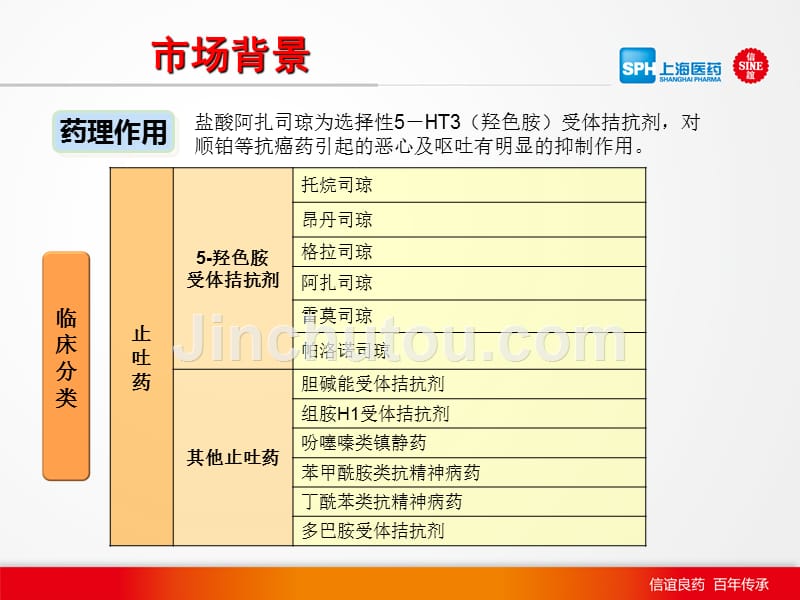 2012年阿扎司琼市场分析报告pp_第2页