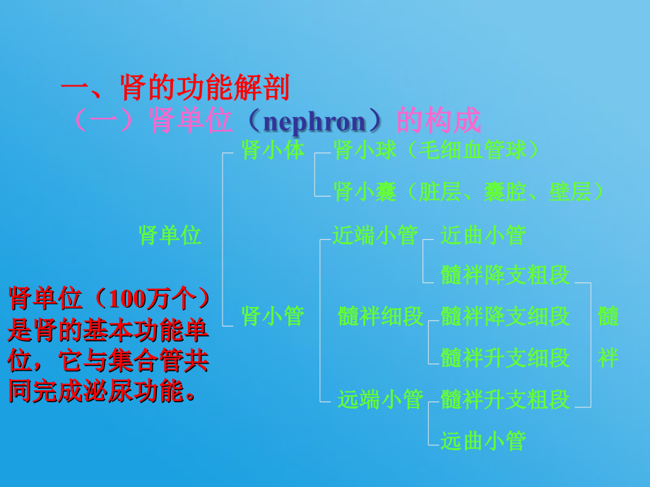 现代肾脏生理和临床_第3页