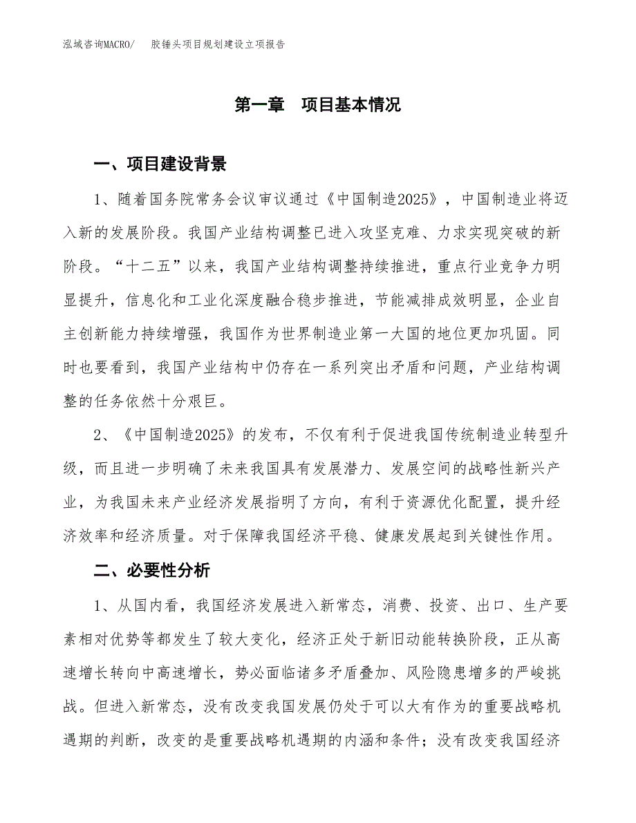 胶锤头项目规划建设立项报告_第2页