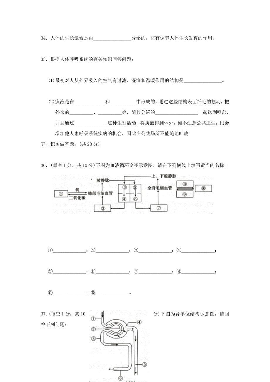 北京版生物七下期末word同步测试题_第5页