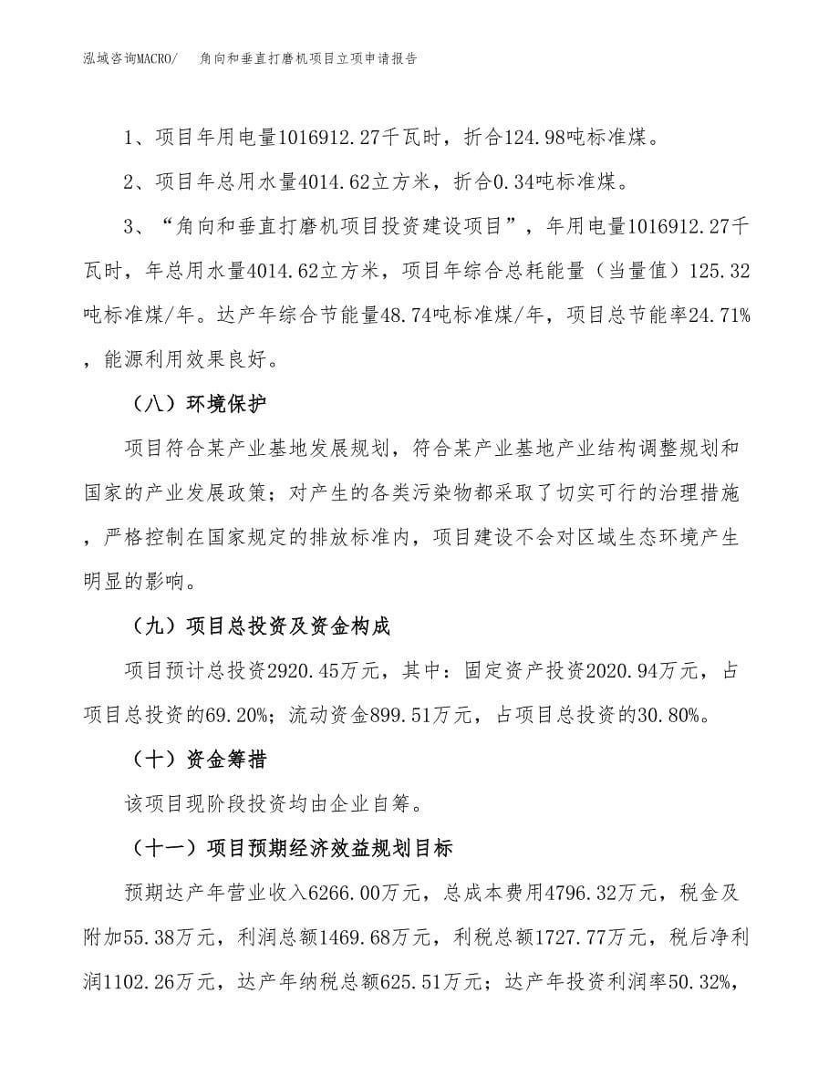 角向和垂直打磨机项目立项申请报告（总投资3000万元）.docx_第5页