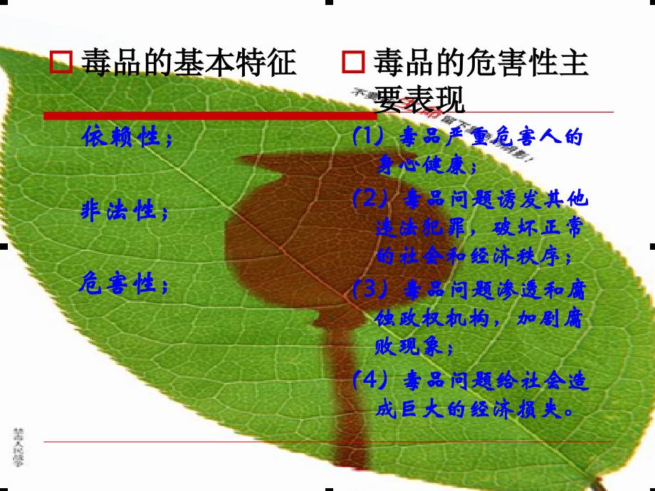 禁毒宣传教育.ppt.ppt_第3页