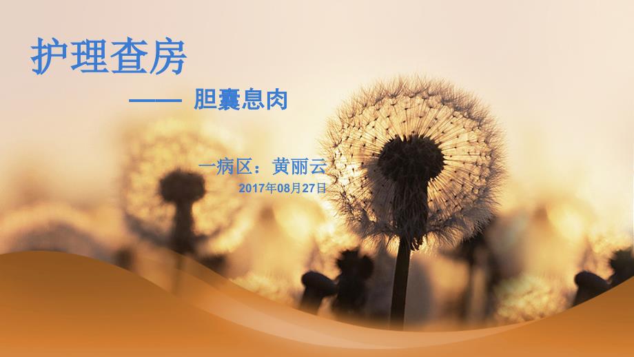 胆囊息肉护理查房.ppt_第1页