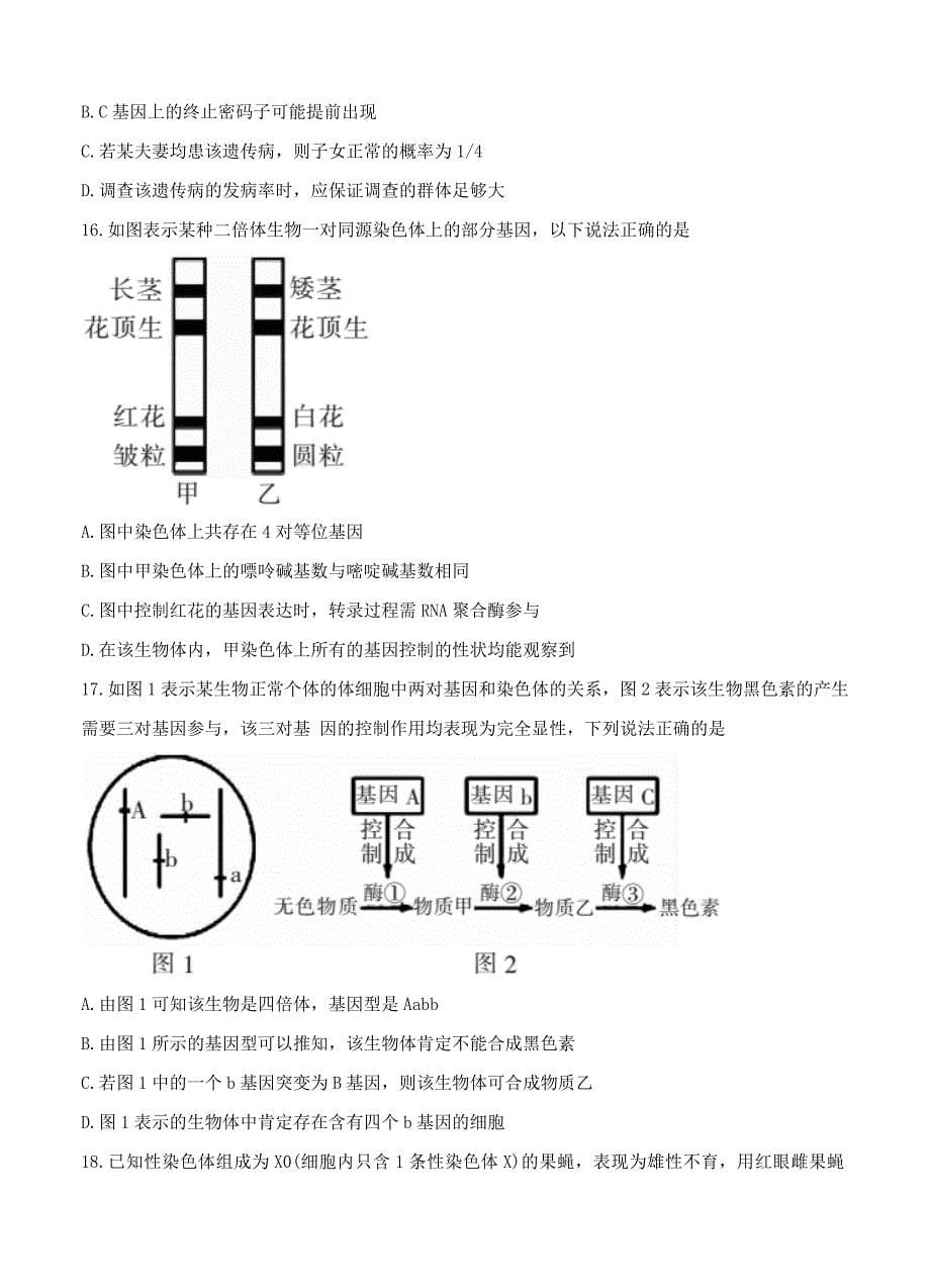 湖南省郴州市2018届高三第一次质量检测生物试卷含答案_第5页