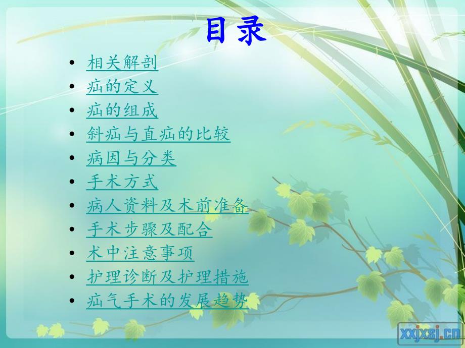 腹股沟斜疝无张力修补术.ppt_第2页