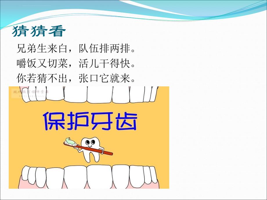 幼儿园健康课—保护牙齿.ppt_第2页