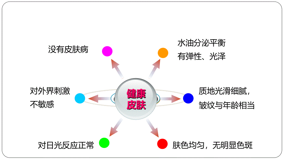 敏感性皮肤及其修复策略.ppt_第2页