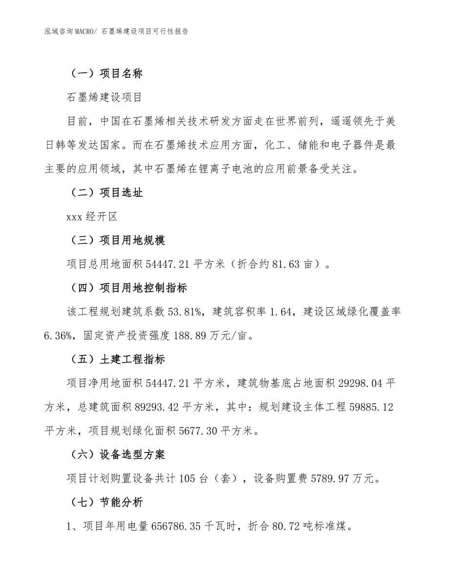 石墨烯建设项目可行性报告.docx_第5页