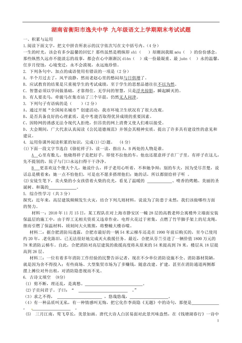 湖南省衡阳市逸夫九年级语文上学期期末考试试题新人教版_第1页