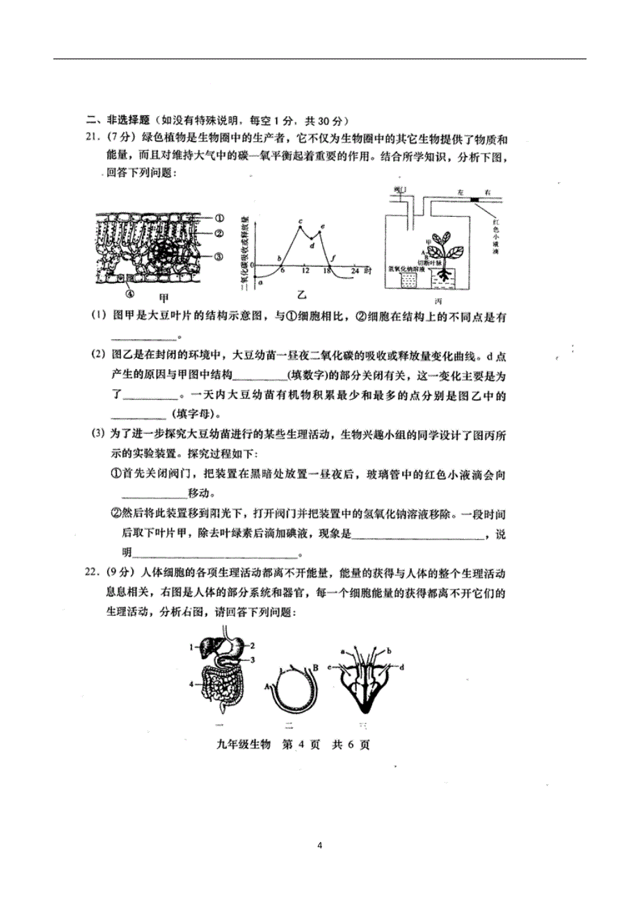 山东省菏泽市牡丹区黄堽镇侯集初级中学2017届九年级上学期期中测试生物试题（附答案）.doc_第4页