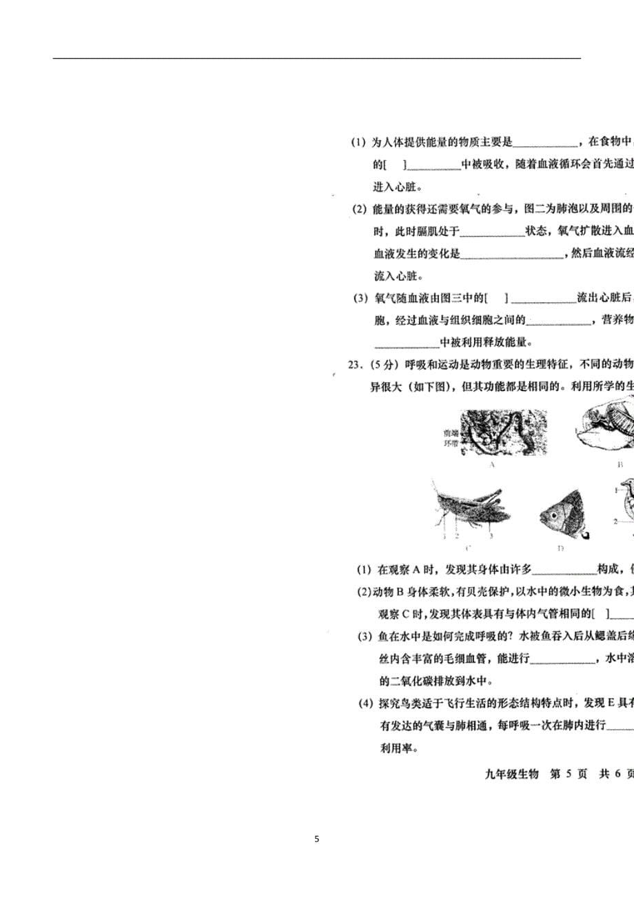 山东省菏泽市牡丹区黄堽镇侯集初级中学2017届九年级上学期期中测试生物试题（附答案）.doc_第5页