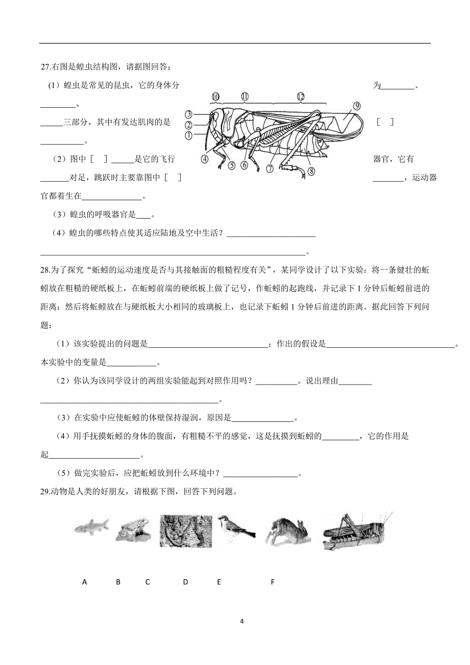 山东平邑蒙阳新星学校八年级生物期中诊断自测题（五） （第五单元 第一、二、三章）（附答案.doc_第4页