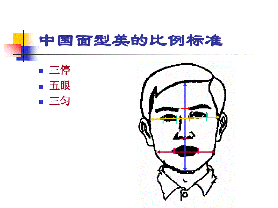 针灸美容概述.ppt_第4页