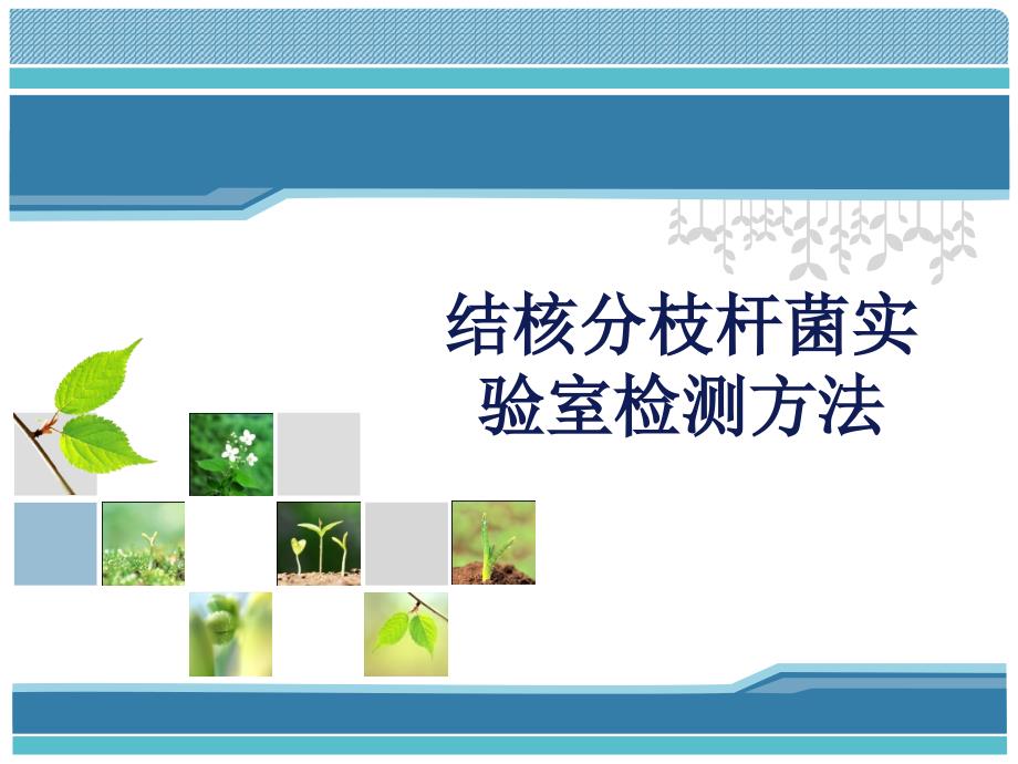 结核分枝杆菌实验室检测方法.ppt_第1页