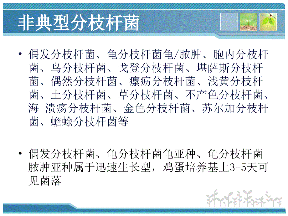 结核分枝杆菌实验室检测方法.ppt_第4页