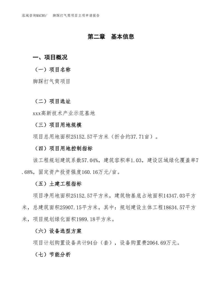 脚踩打气筒项目立项申请报告（总投资7000万元）.docx_第5页