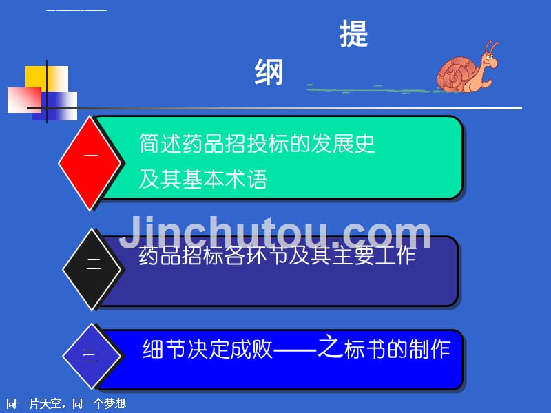 药品招标(细节决定成败).ppt_第2页