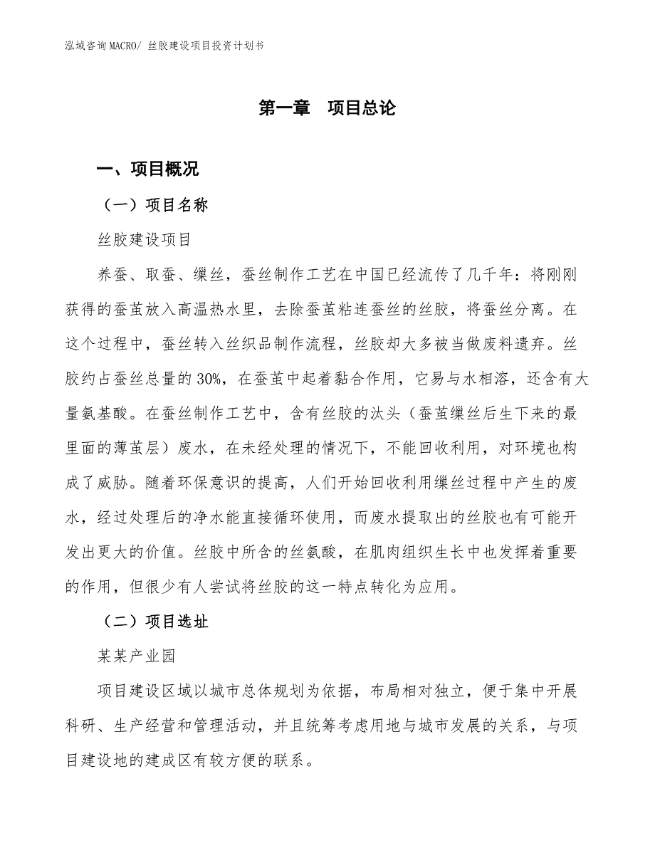 丝胶建设项目投资计划书.docx_第1页