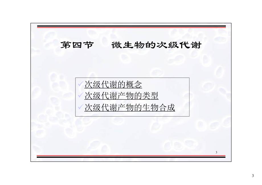 第三章 发酵生物化学基础_第3页