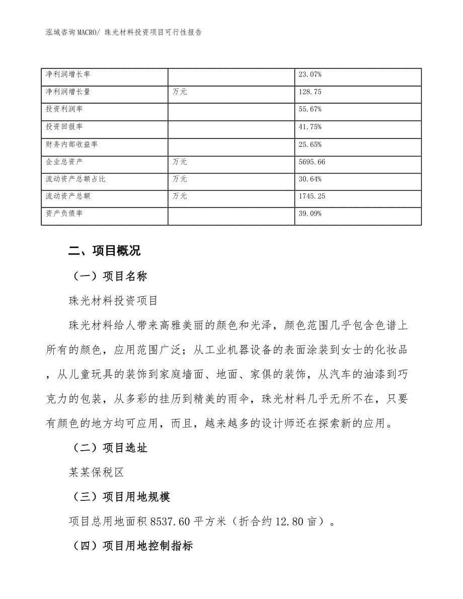 珠光材料投资项目可行性报告.docx_第5页