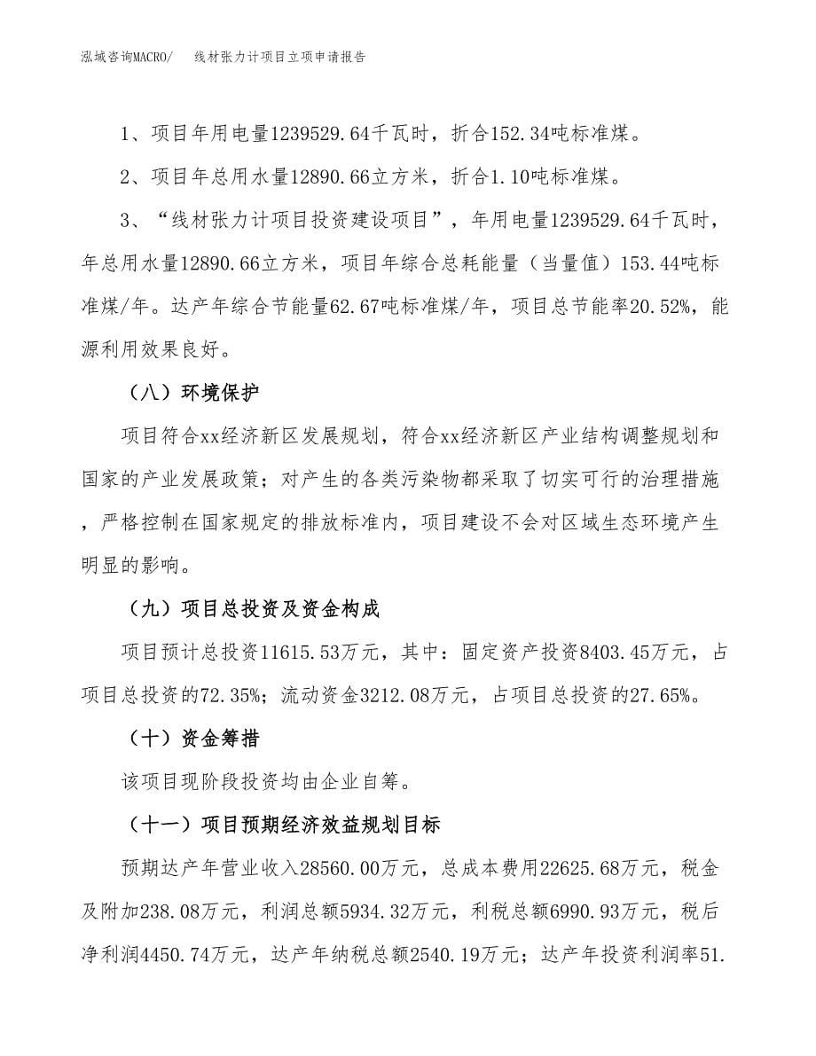 线材张力计项目立项申请报告（总投资12000万元）.docx_第5页