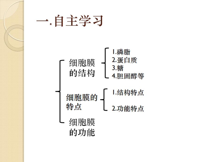 细胞膜的结构和功能.ppt_第3页