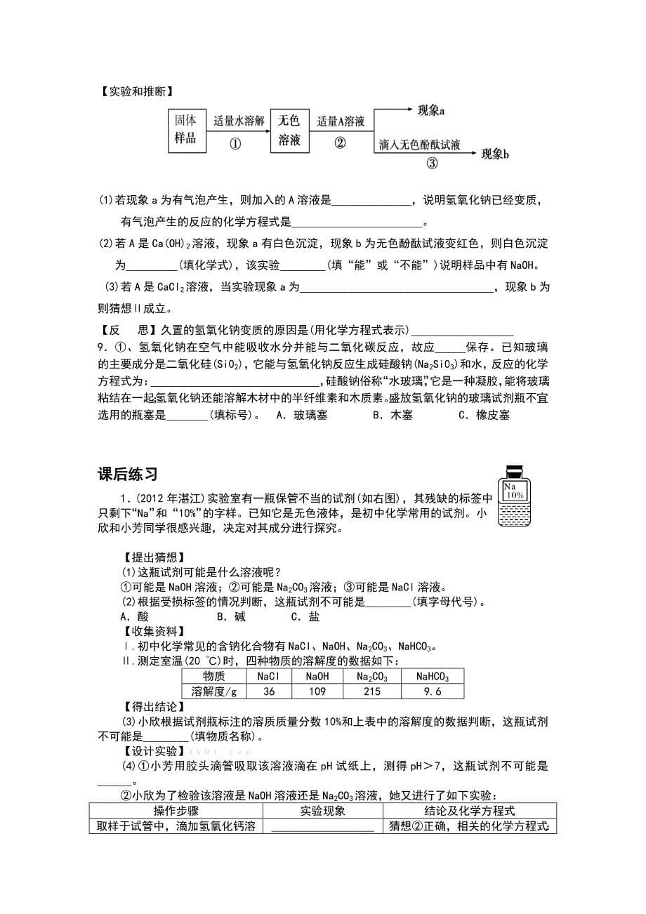 浙教版九年级科学上册神奇的氢氧化钠复习教案_第5页