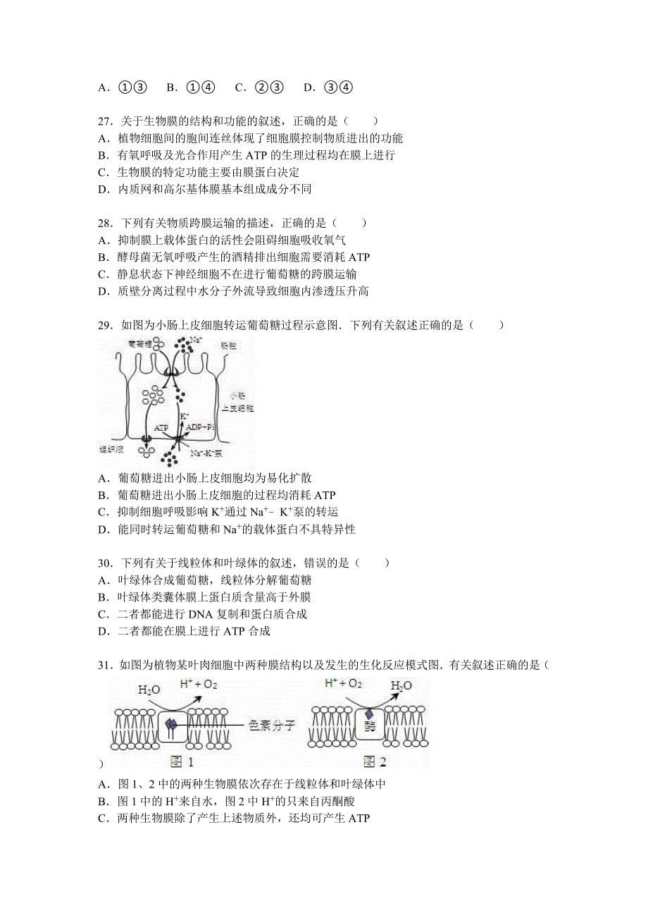 北京师范大学第四附属中学2016届高三上学期月考生物试卷10月份_第5页