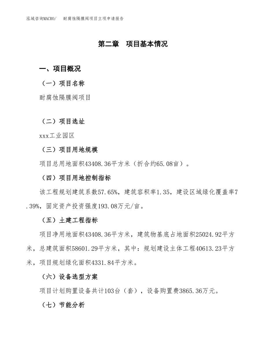 耐腐蚀隔膜阀项目立项申请报告（总投资15000万元）.docx_第5页