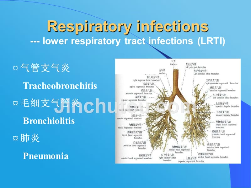 小儿上呼吸道感染和肺炎_第3页