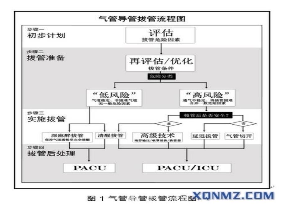 气管导管拔管的专家共识(2014).ppt_第2页