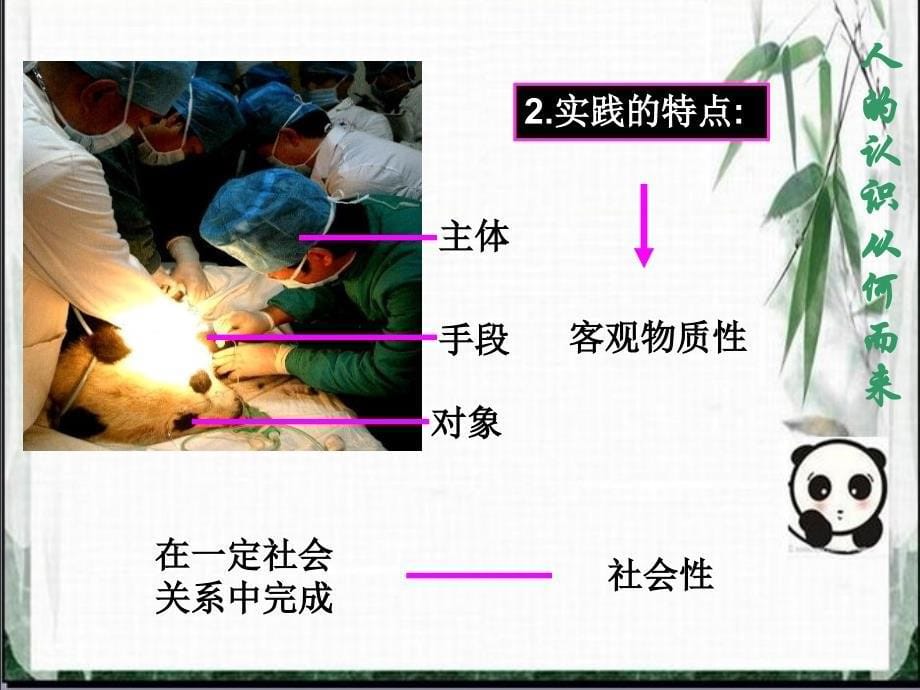 人的认识从何而来省优质课_第5页