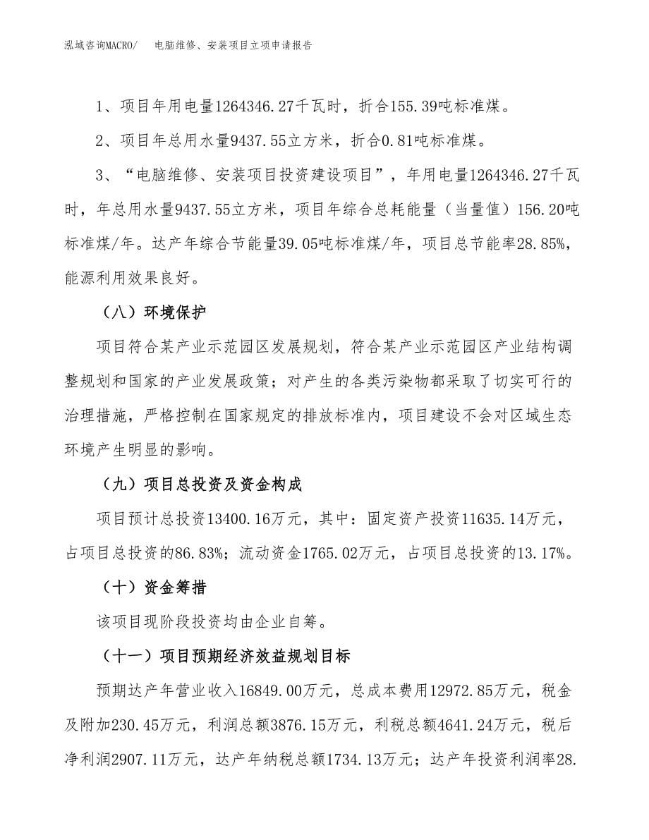 电脑维修、安装项目立项申请报告（总投资13000万元）.docx_第5页