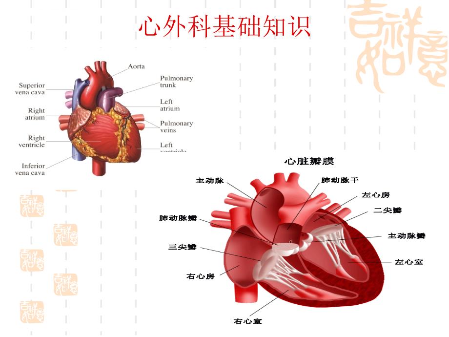 心外科基础知识.ppt_第2页